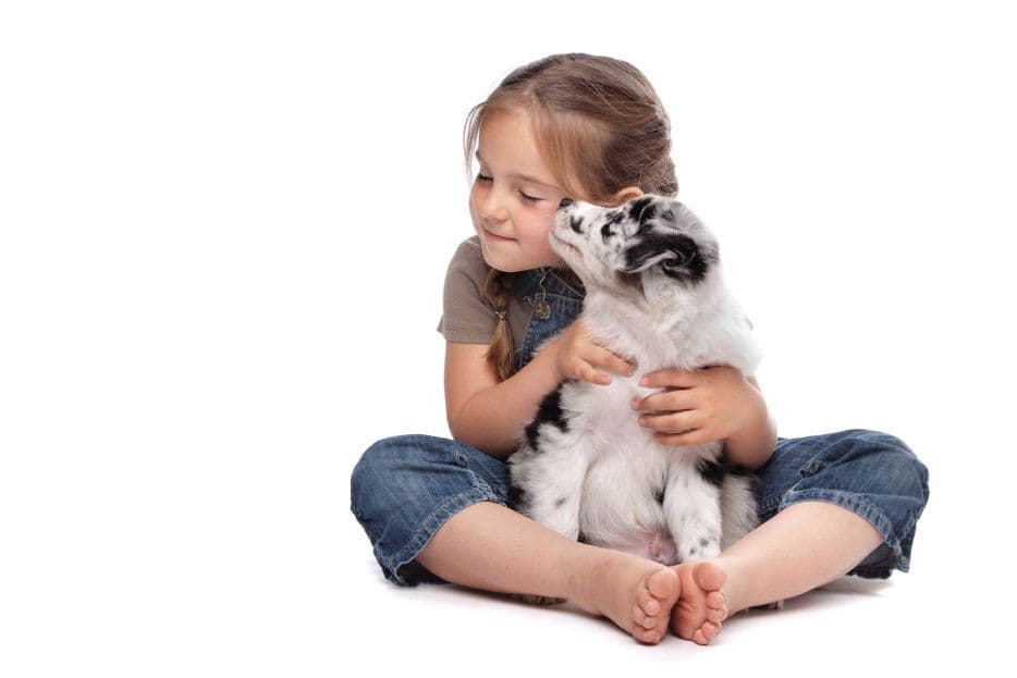 Perros: las mejores razas para niños