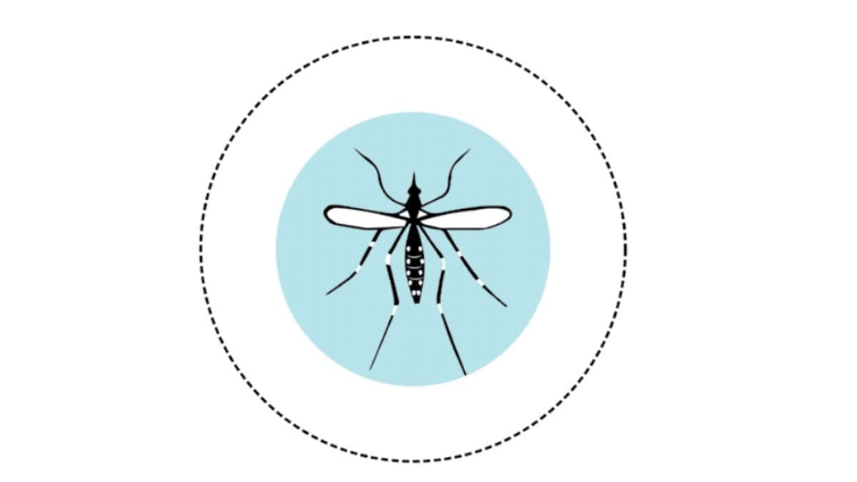 La nueva vacuna contra el dengue: todo lo que necesitas saber 