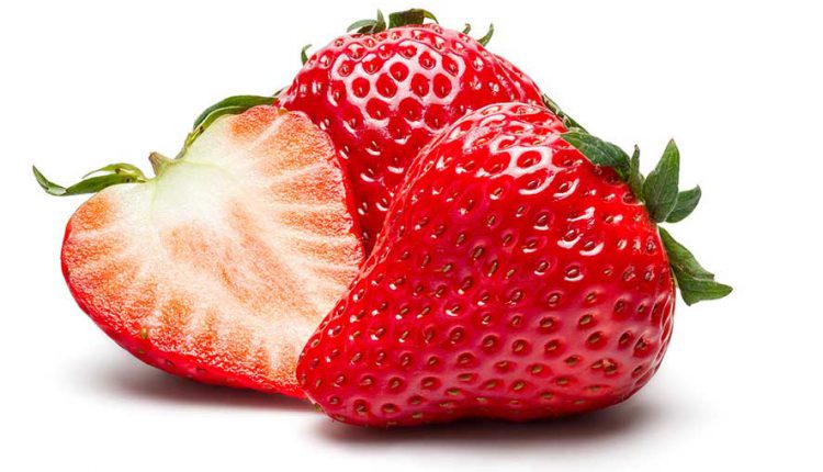 Si bien es bueno que coman de todo, algunos alimentos no son aptos para los menores de 12 meses.