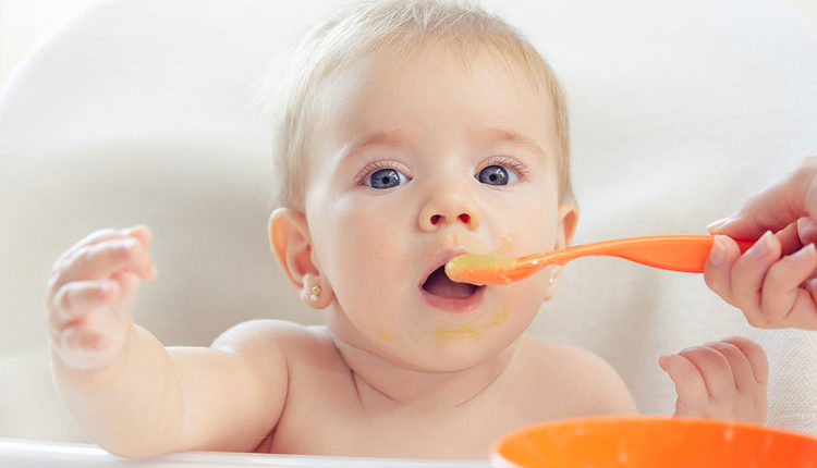 Primeros alimentos